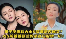 张兰最新爆料大s录音,真相大白，豪门恩怨再掀波澜