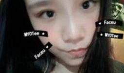 席鑫网友爆料视频大全最新,揭秘网络热点背后的真相